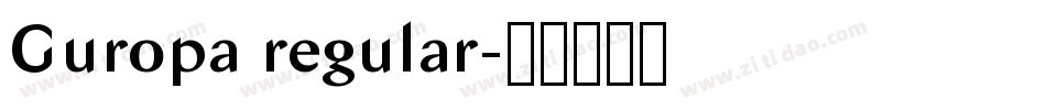 Guropa regular字体转换